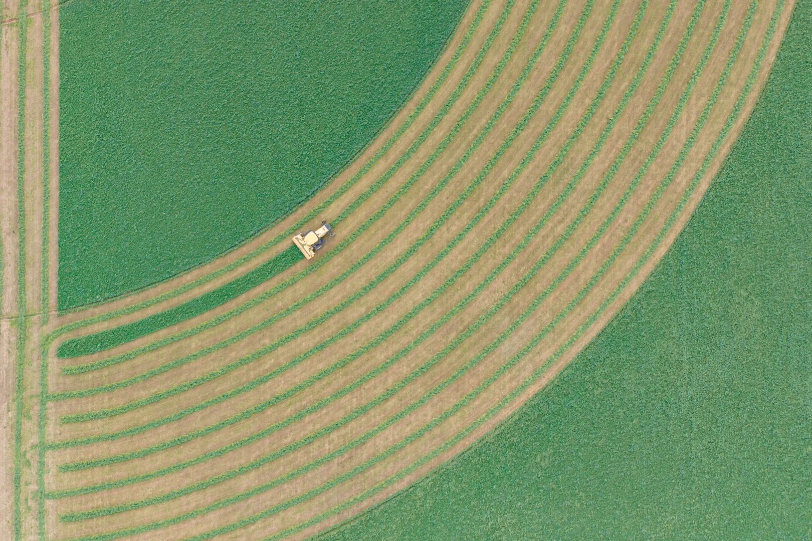 Additional image 6 of 349 Nangar Road, Canowindra NSW 2804