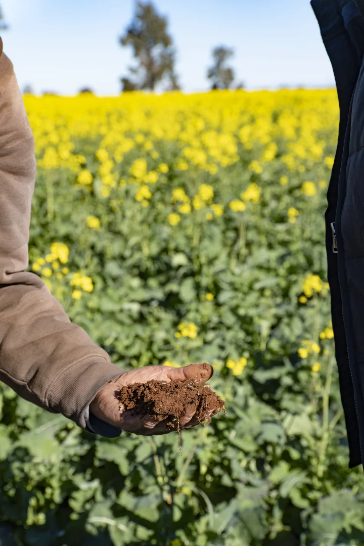 Additional image 22 of 2244 Berrigan Road, Berrigan NSW 2712