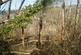 Additional image 2 of Drefelin, Drefach Felindre SA44