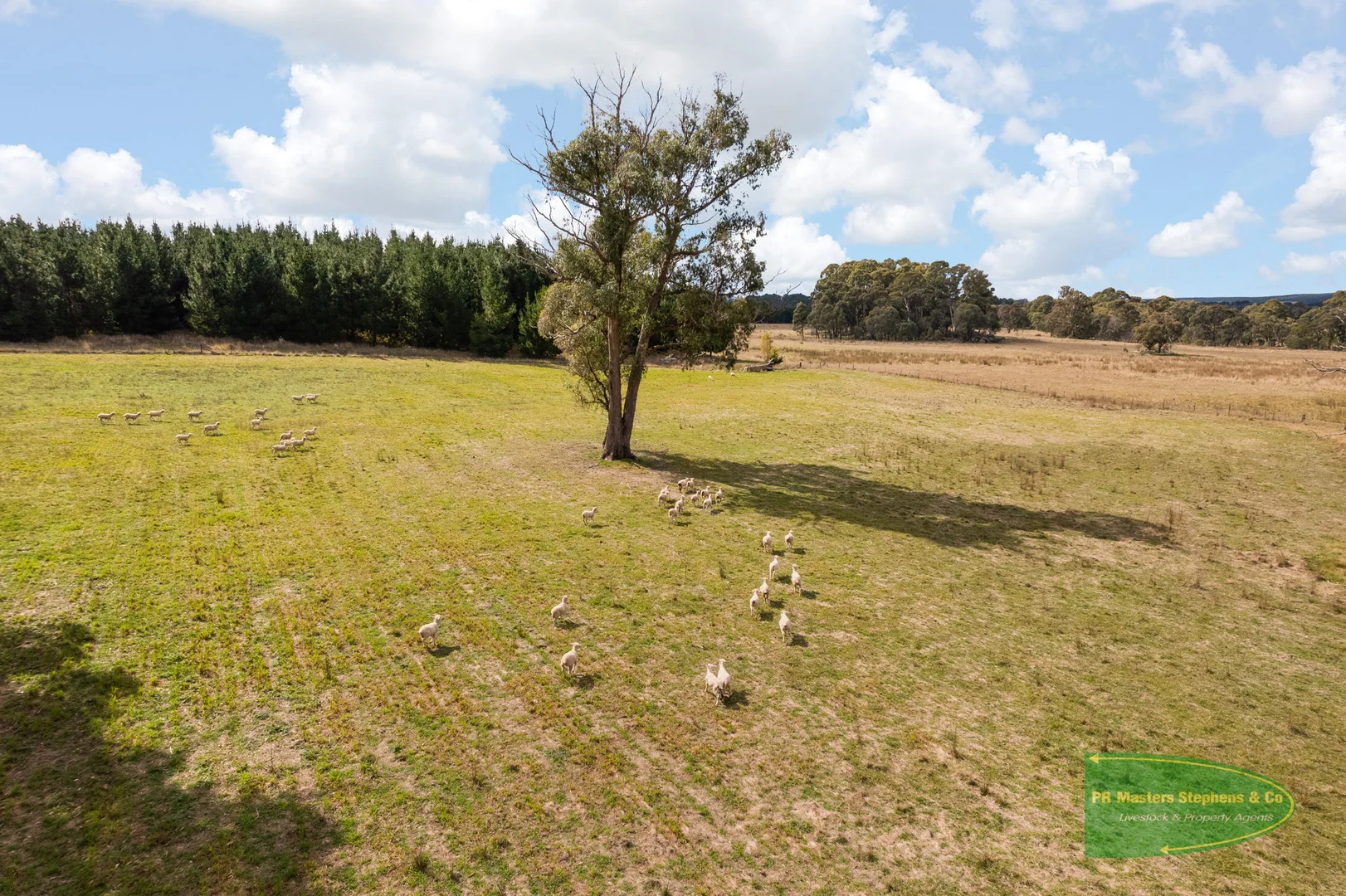 Additional image 38 of 800 Riverview Forest Road, Mozart NSW 2787