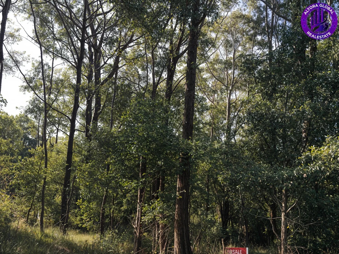 Additional image 3 of 57 Kurrajong Road, Russell Island QLD 4184