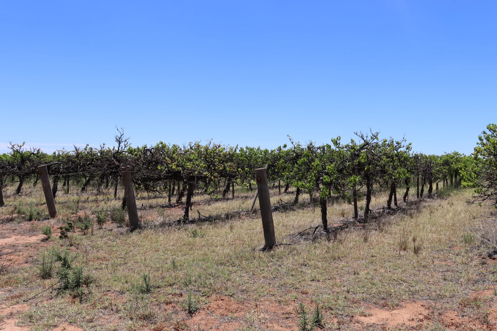 Additional image 20 of 73 Garrett Road, Glossop SA 5344