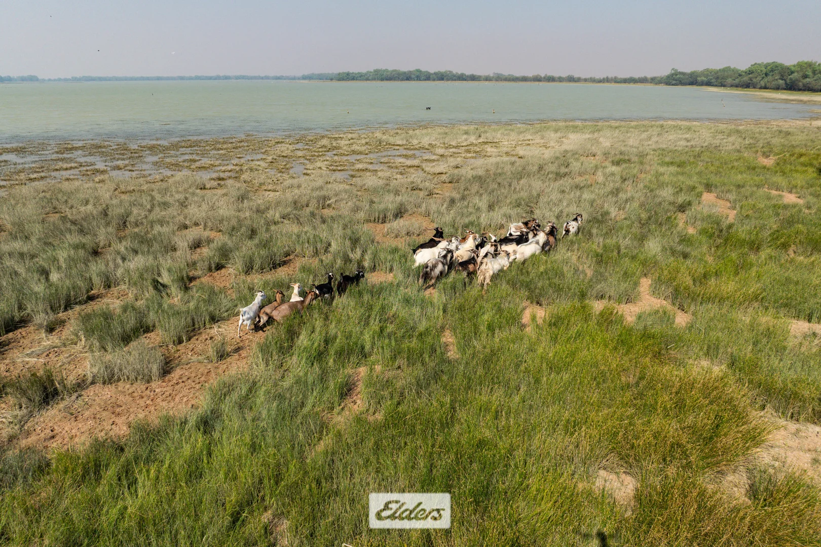 Additional image 11 of 340 West Wilcannia Road, Menindee NSW 2879