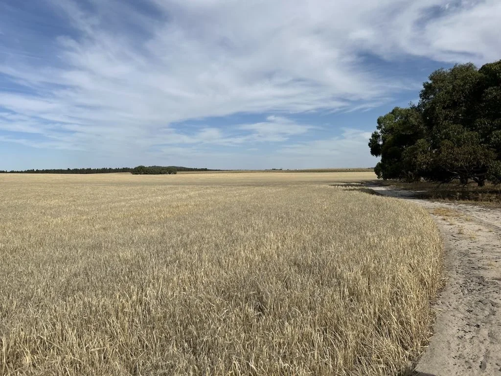 Lot 1 Maitland Rd, Kokeby WA 6304