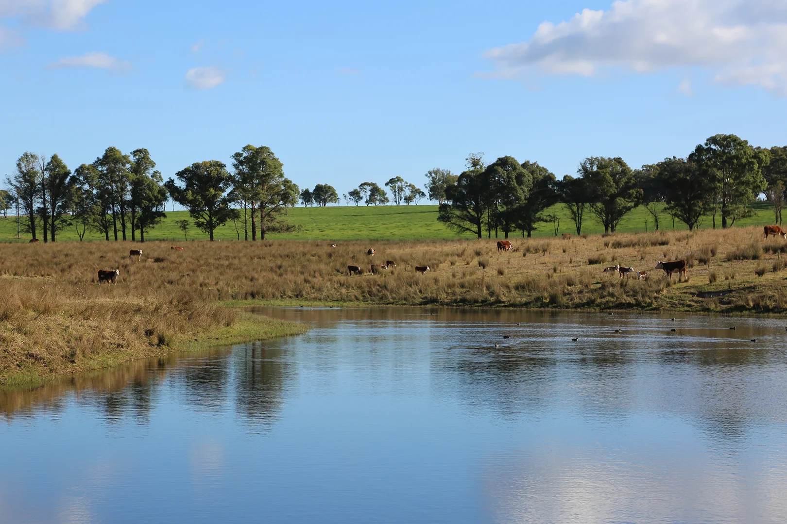 Additional image 3 of 710 Inverary Road, Paddys River NSW 2577
