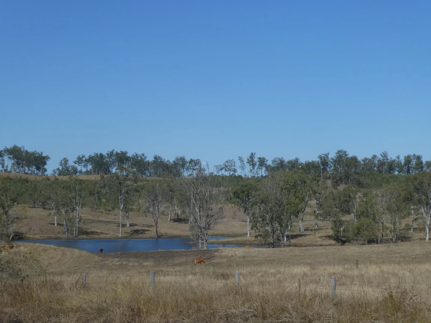 Additional image 11 of Lot 23 Walla Road, Morganville QLD 4671