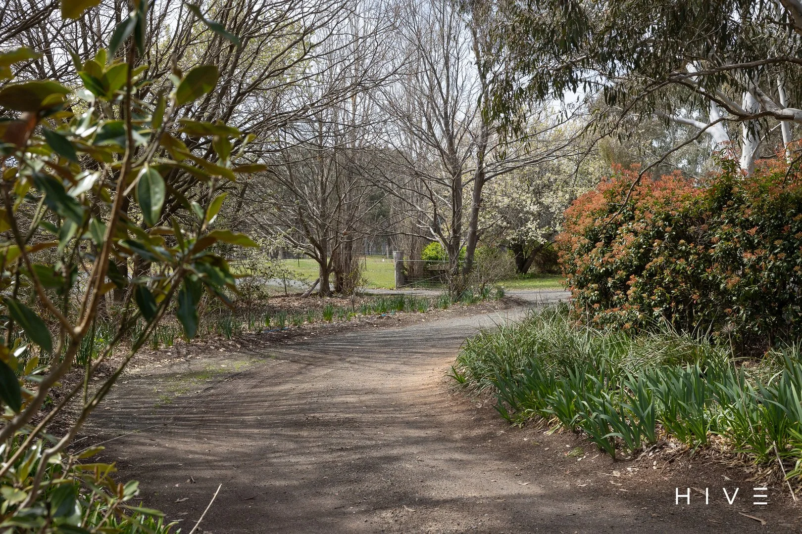 Additional image 2 of 31 David Street, Gundaroo NSW 2620