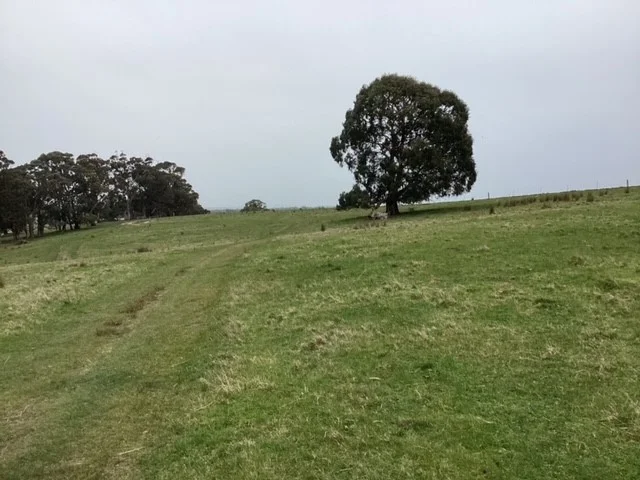 Additional image 9 of 236 Morrisons Lane, Korobeit VIC 3341