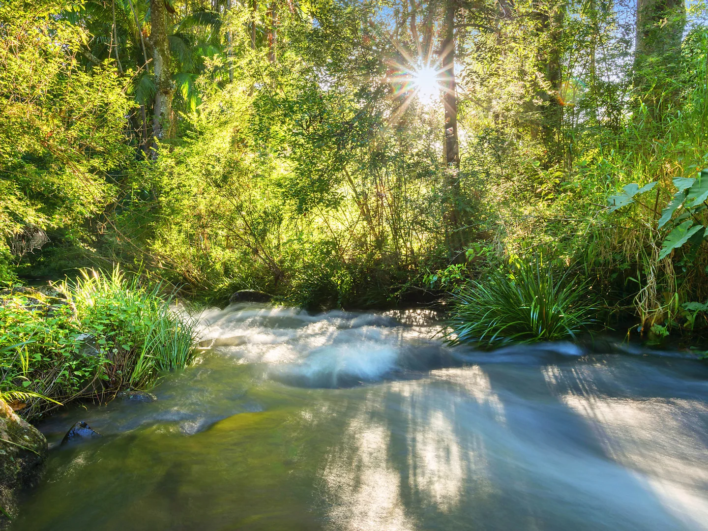 Additional image 6 of 777 Wilsons Creek Road, Wilsons Creek NSW 2482