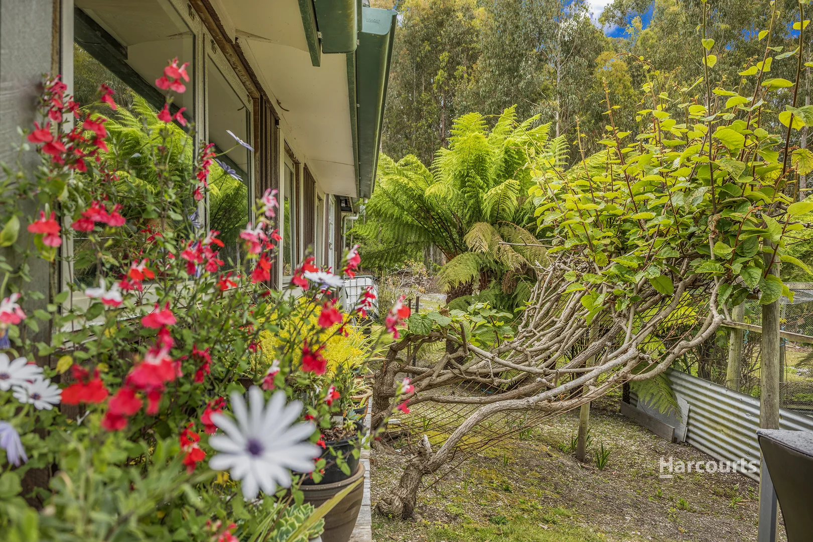 Additional image 23 of 22 Peppermint Drive, Penguin TAS 7316