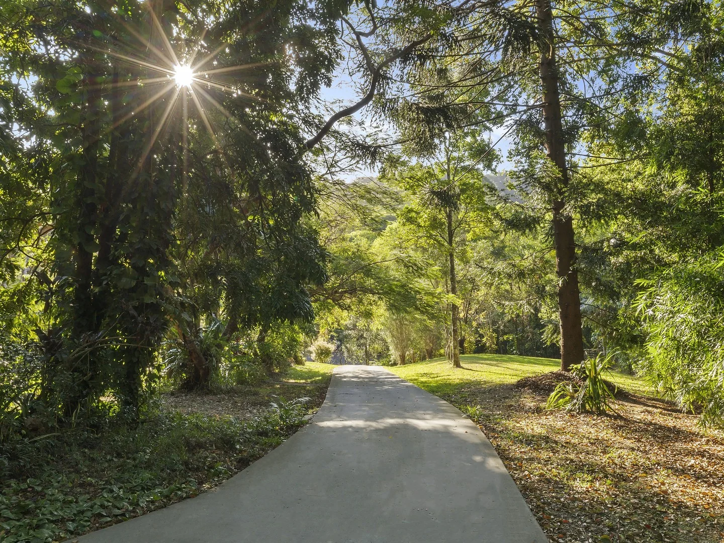 37 Condor Place, Clothiers Creek NSW 2484