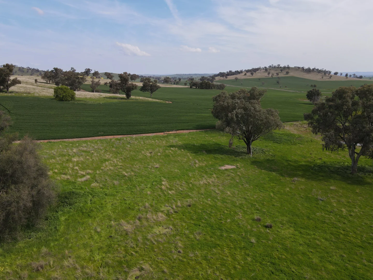 Additional image 22 of Woodstock NSW 2793