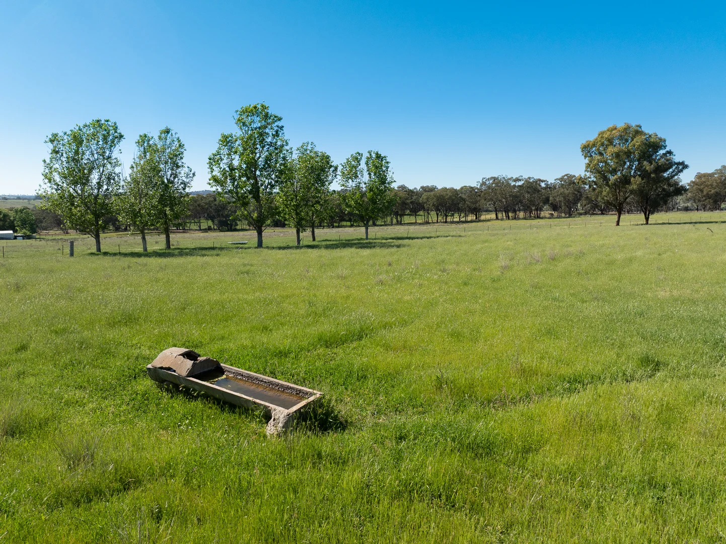 Additional image 26 of 338 Baldry Road, Cumnock via, Molong NSW 2866