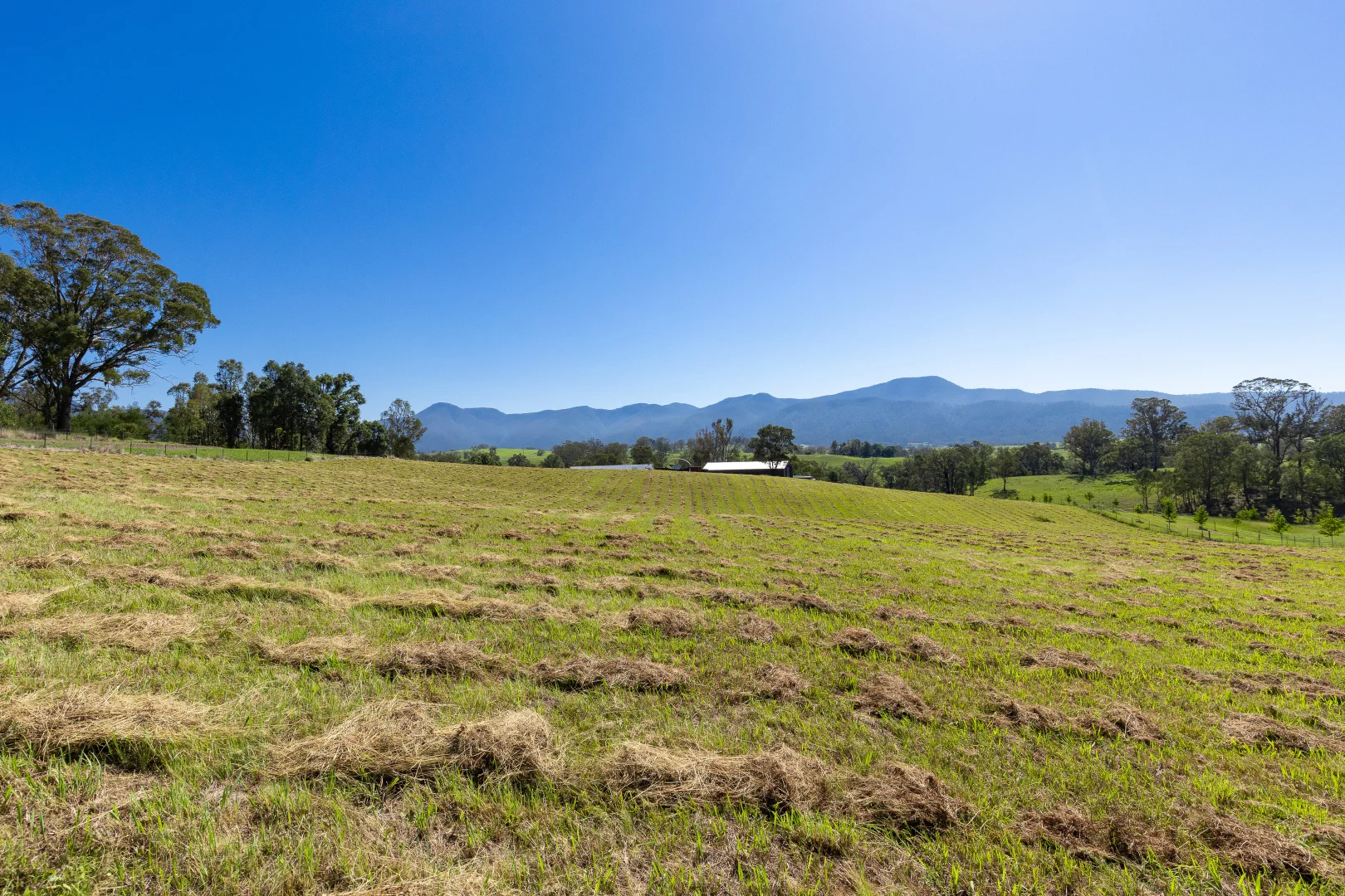 Additional image 10 of 1 Geraghty Street, Bemboka NSW 2550