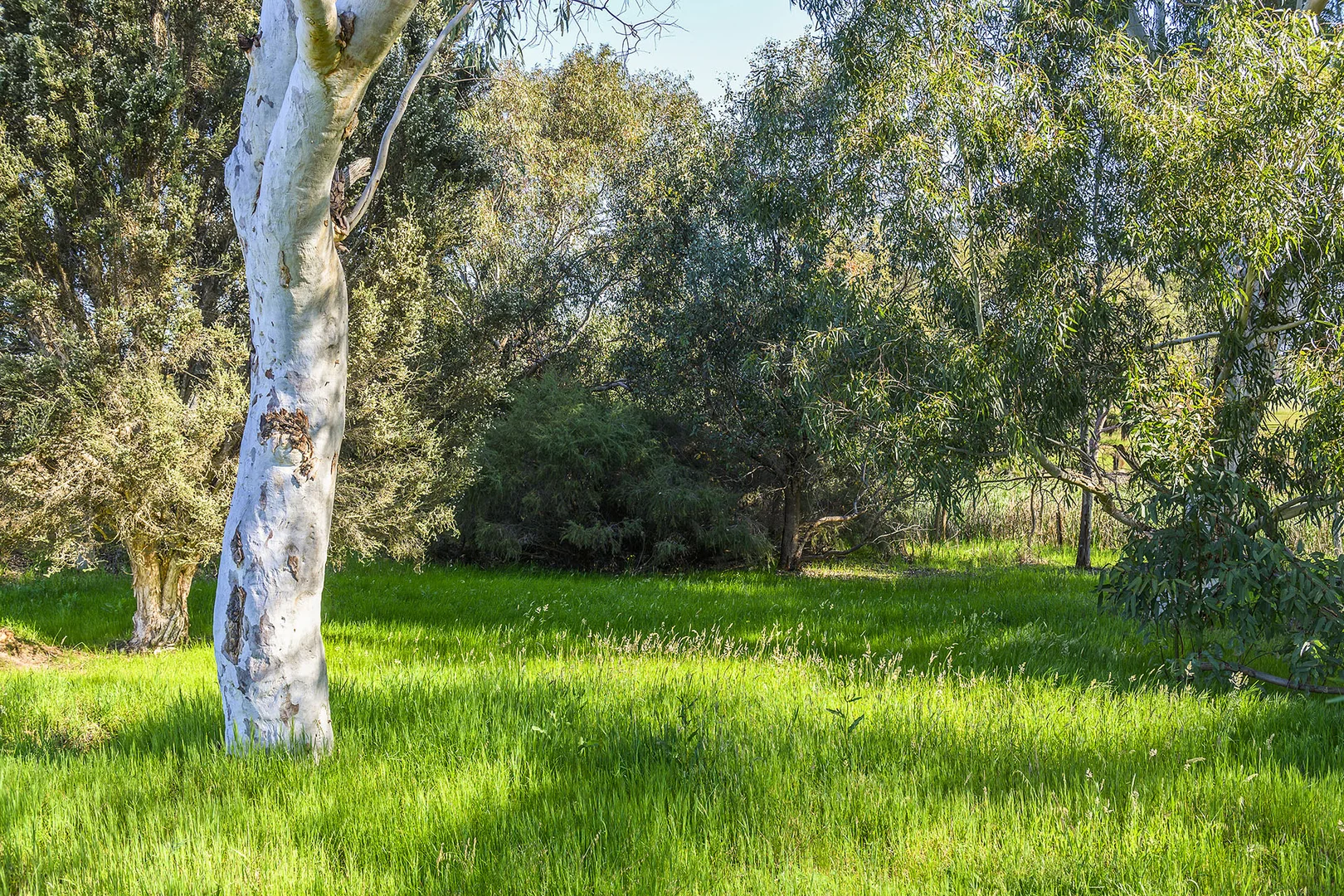 Additional image 27 of Guernsey Rise, Lower Chittering WA 6084