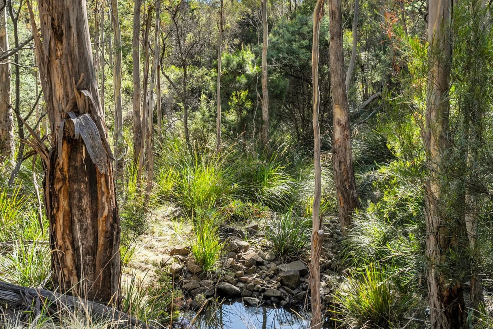 Additional image 35 of 108 Happy Valley Road, Spring Beach TAS 7190