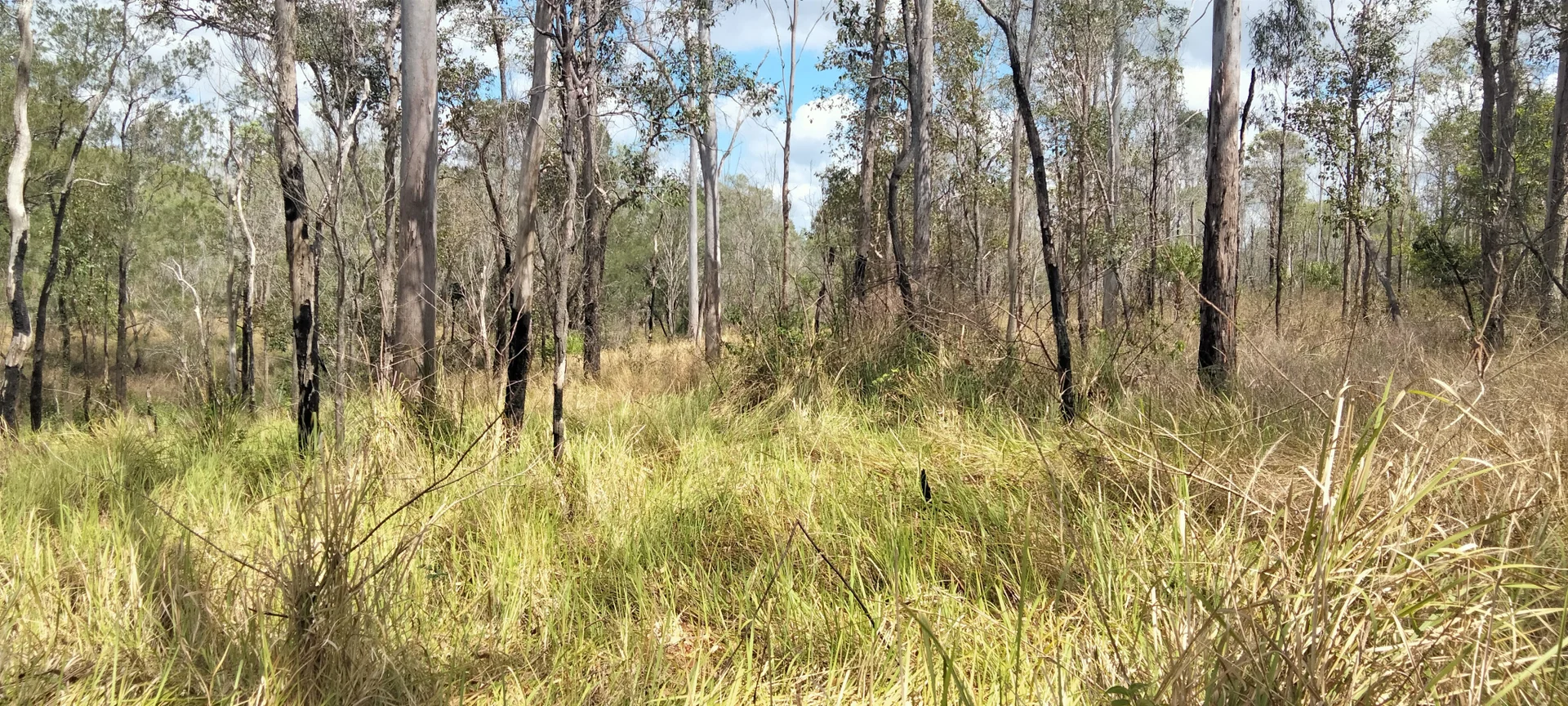 Additional image 28 of 3359 Lowmead Road, Lowmead QLD 4676