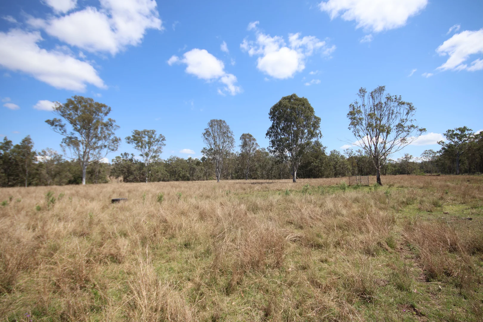 Additional image 8 of 789 Coppin Road, Mungungo QLD 4630