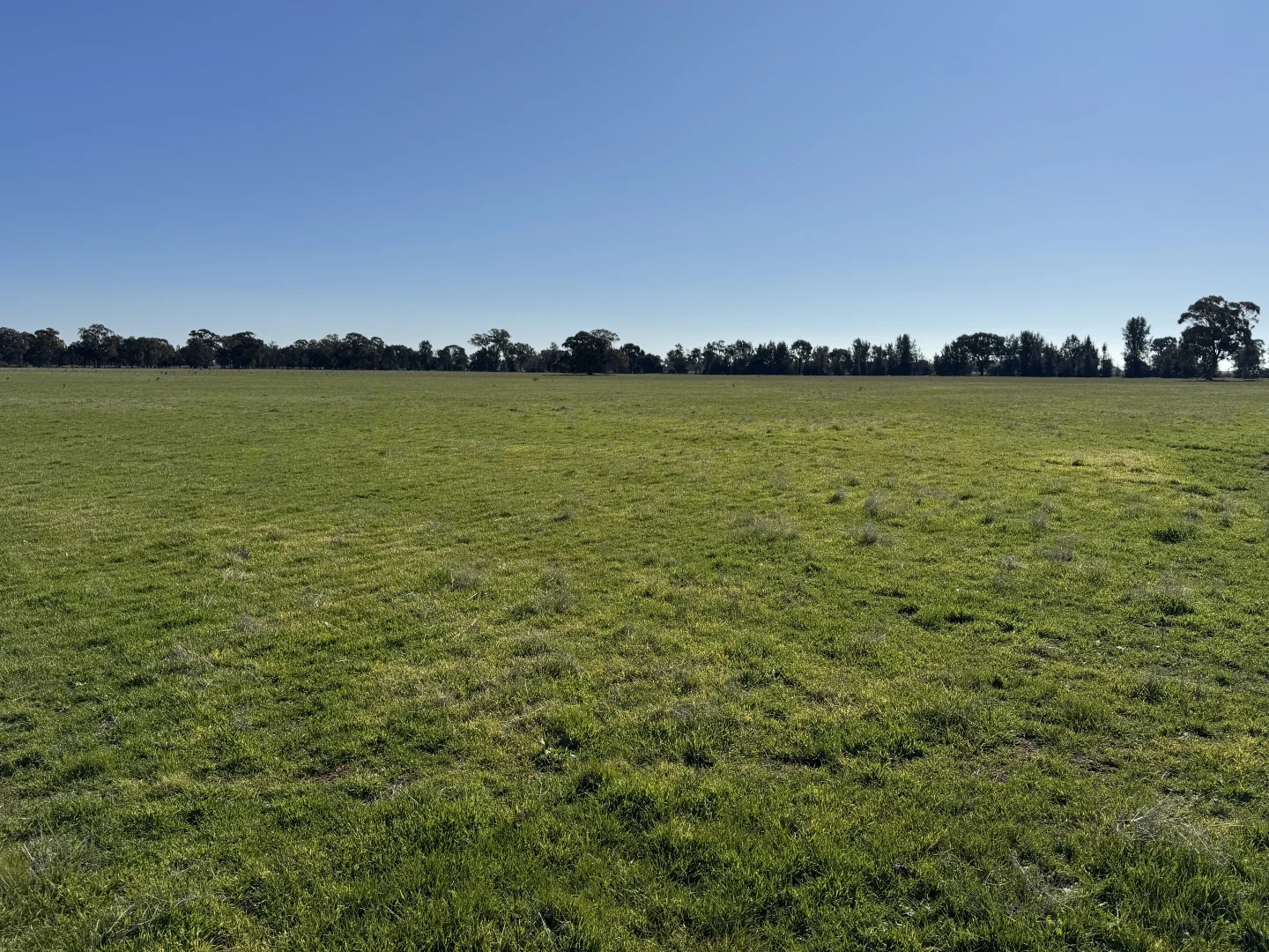 Additional image 32 of Berrigan Oaklands Road, Berrigan NSW 2712