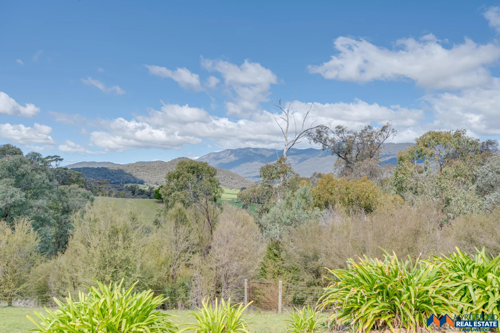 Additional image 27 of 330 Clemens Lane, Myrtleford VIC 3737
