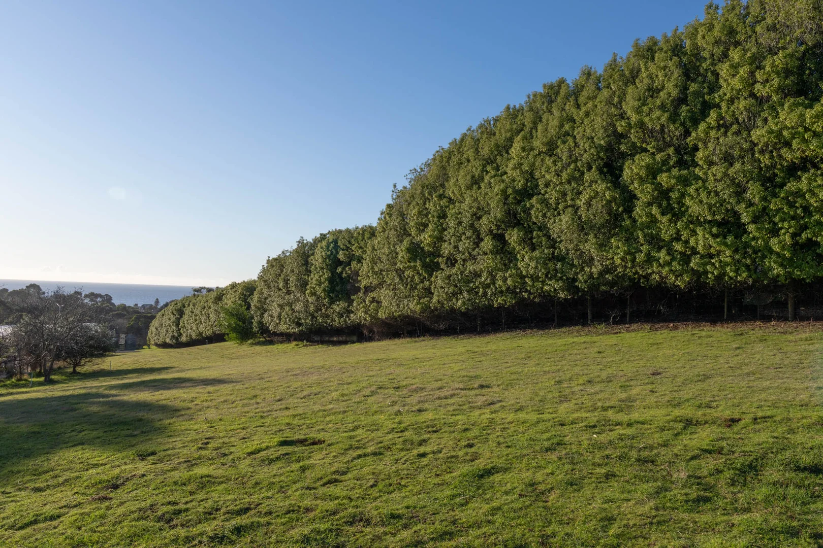 Additional image 5 of 18 Alexander Street, Leith TAS 7315