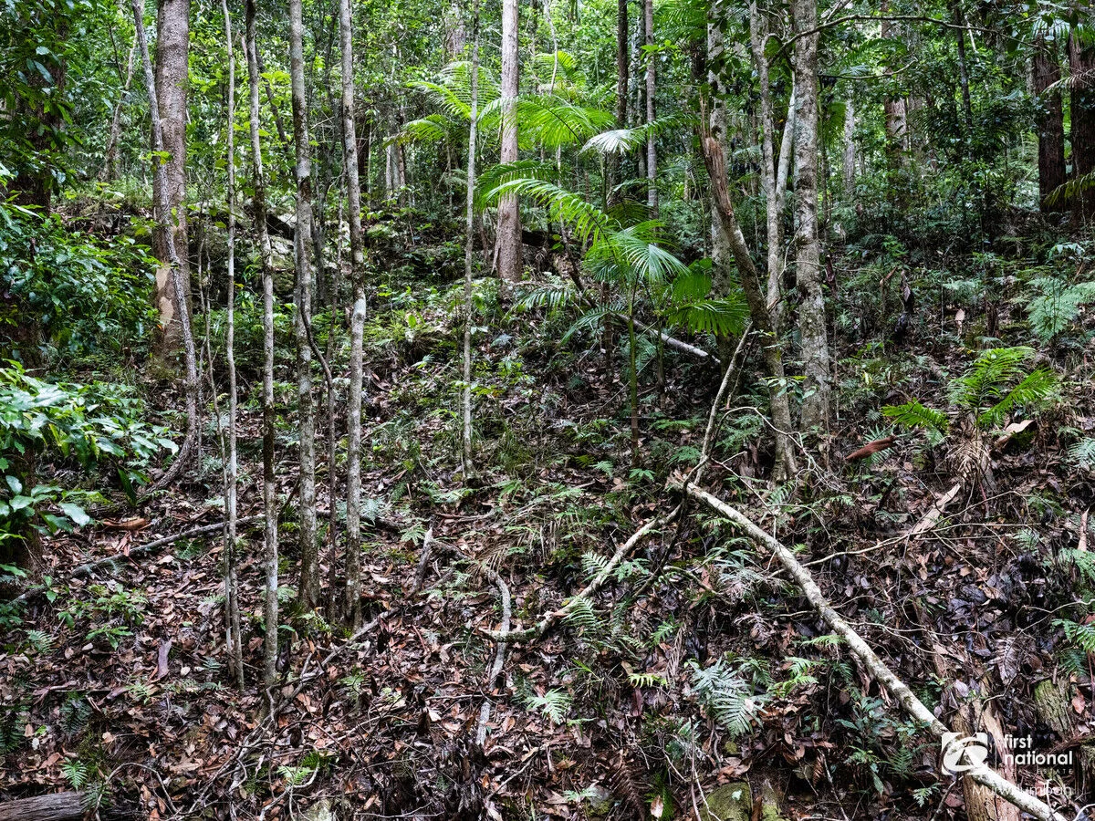 Additional image 24 of 563 Commissioners Creek Road, Commissioners Creek NSW 2484