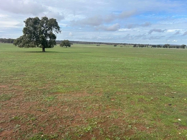 Additional image 3 of 418 Donaldsons Road, Corbie Hill NSW 2705