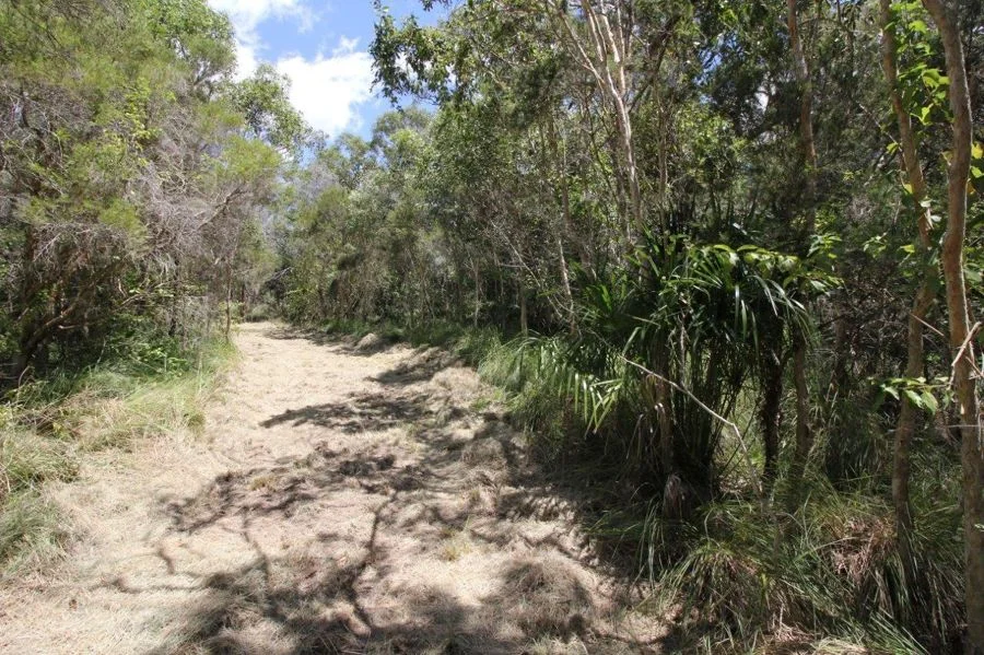 Additional image 30 of 9 Coe Road, Deepwater QLD 4674