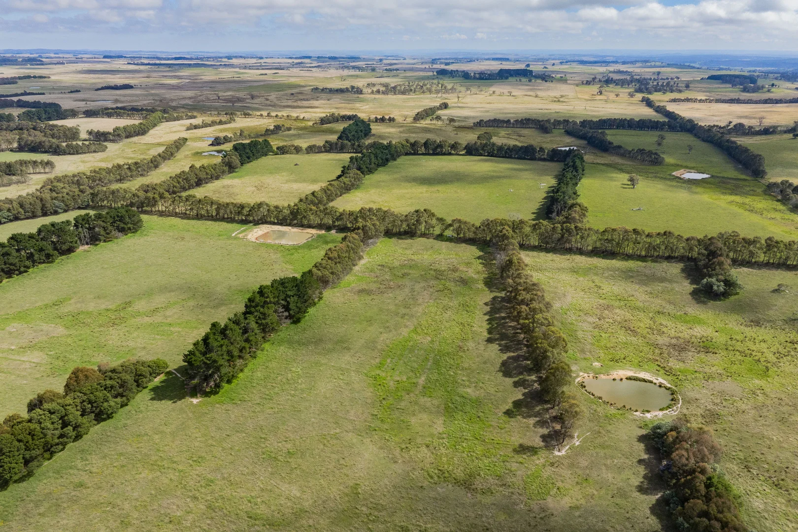 Additional image 5 of 251 Mount Rae Road, Roslyn NSW 2580