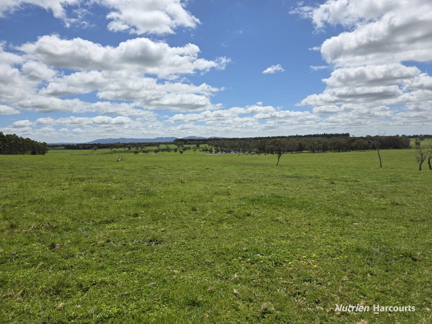 Additional image 28 of 1867 Chester Pass Road, Napier WA 6330