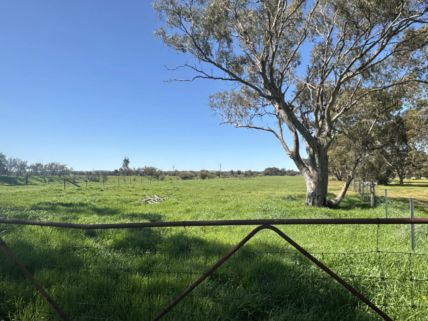 Additional image 3 of Section 469,/4641 Wilkins Highway, Jamestown SA 5491