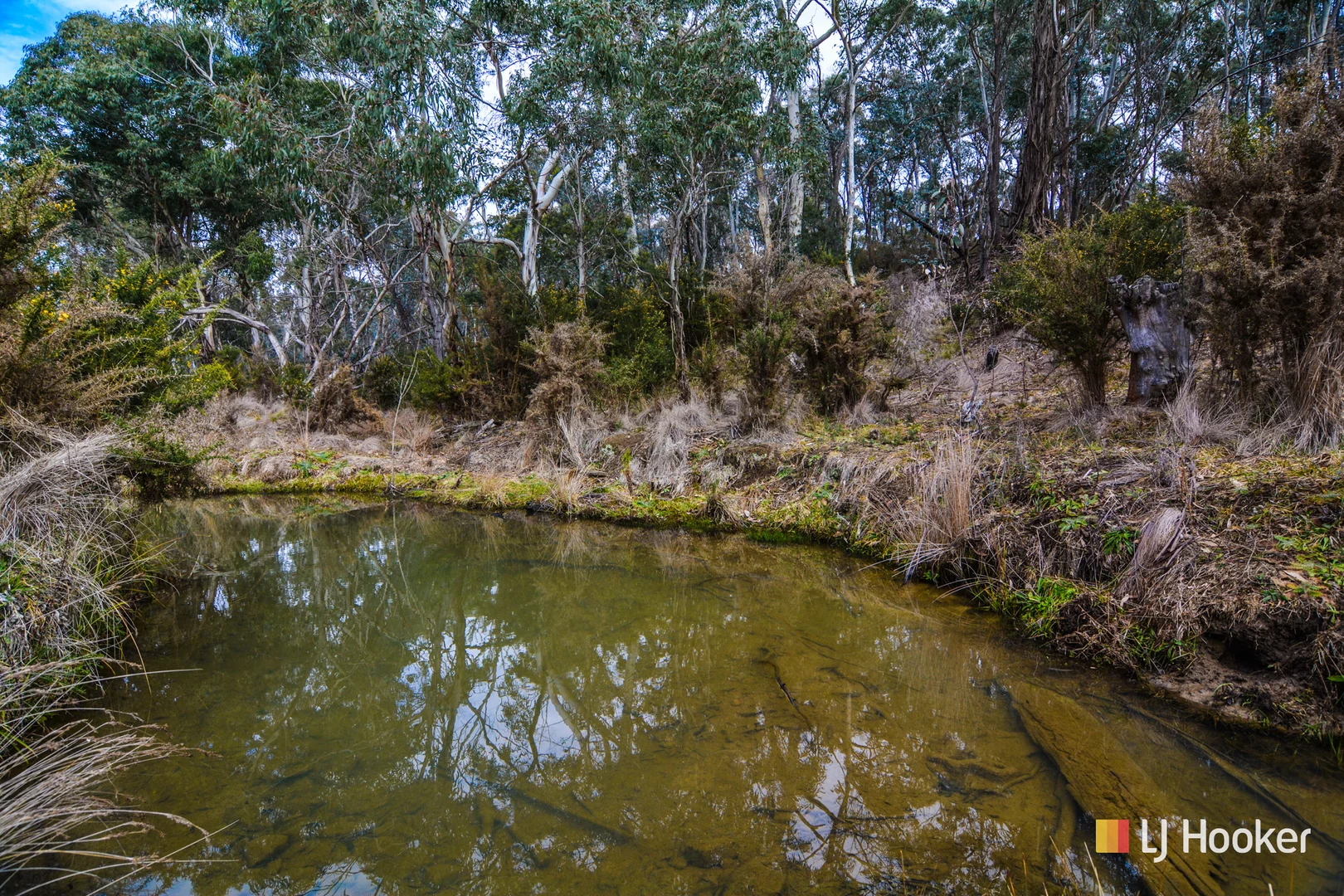 Additional image 15 of 308 Willow Vale Road, Wallerawang NSW 2845