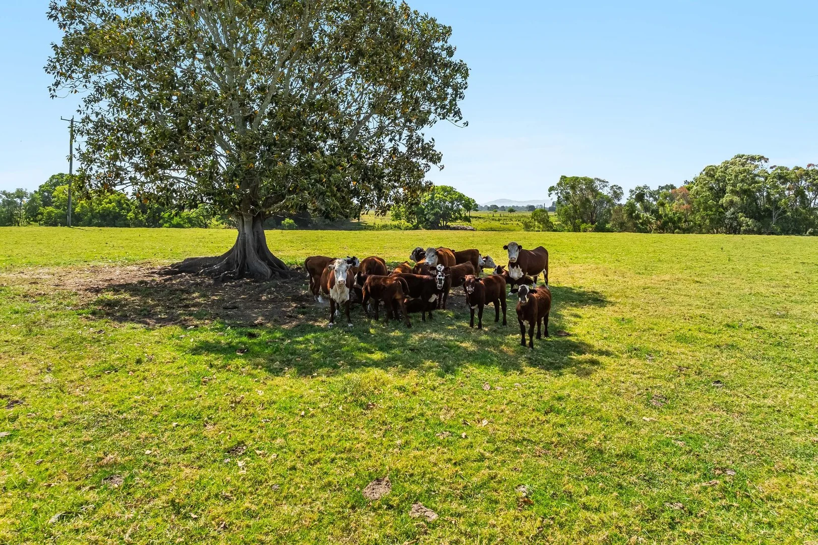 Additional image 4 of 220 Tomki Tatham Road, Tatham NSW 2471