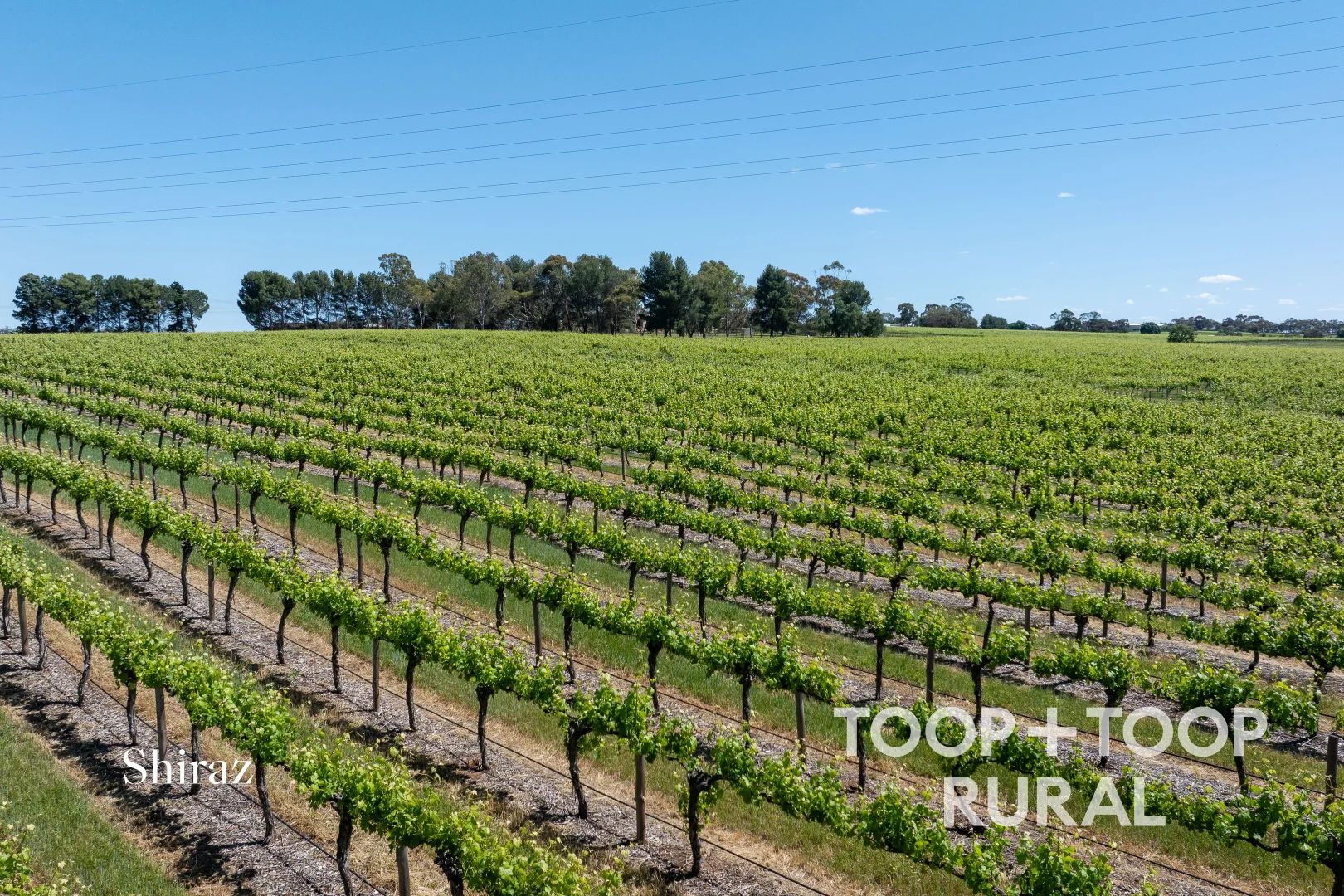 Additional image 5 of 303 Stonewell Road, Stone Well SA 5352