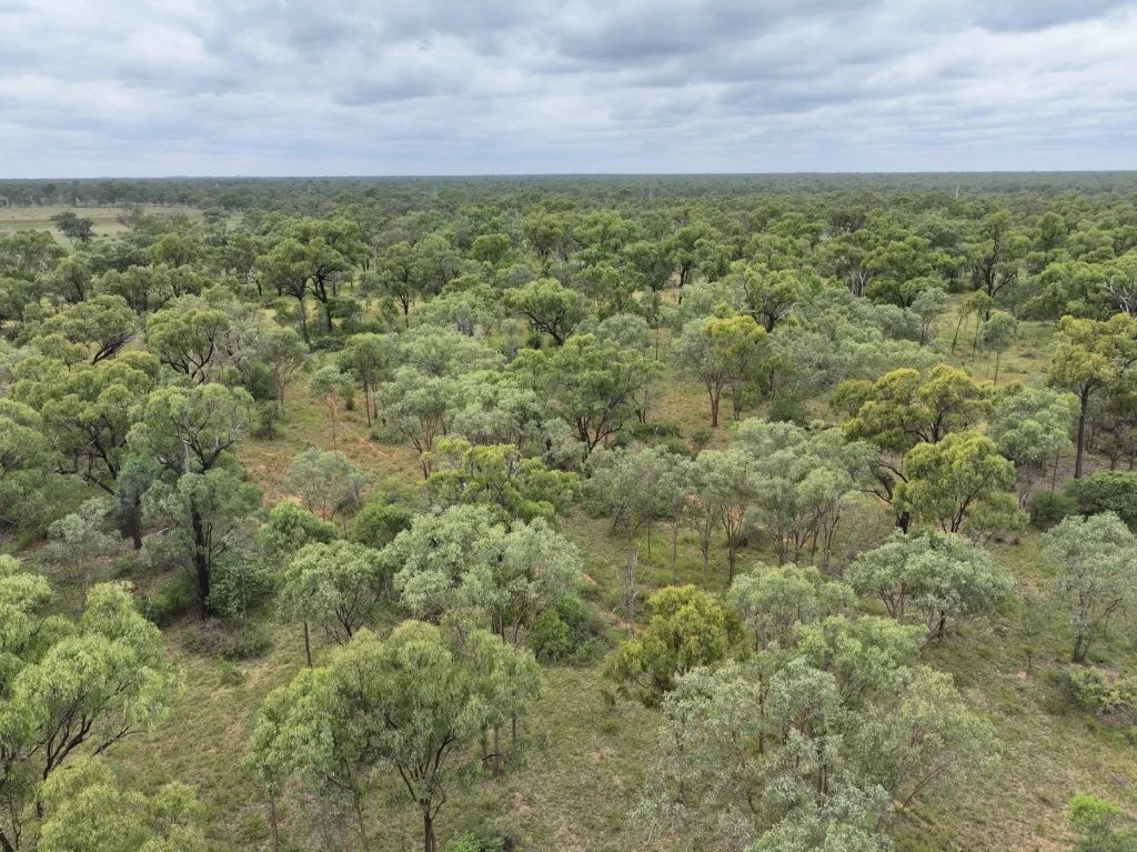 Additional image 23 of Cape River/22386 Flinders Highway, Pentland QLD 4816