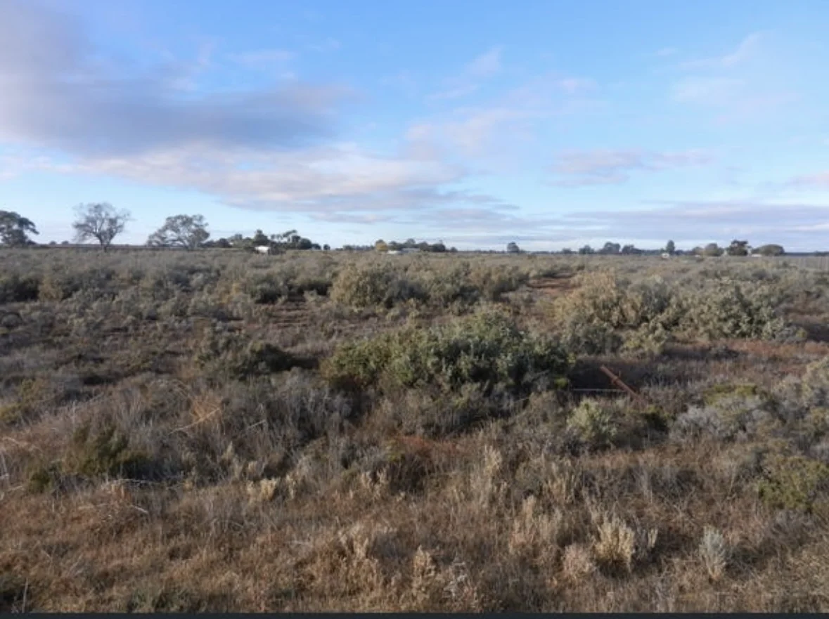 Additional image 3 of 39 Canal Road, Renmark SA 5341