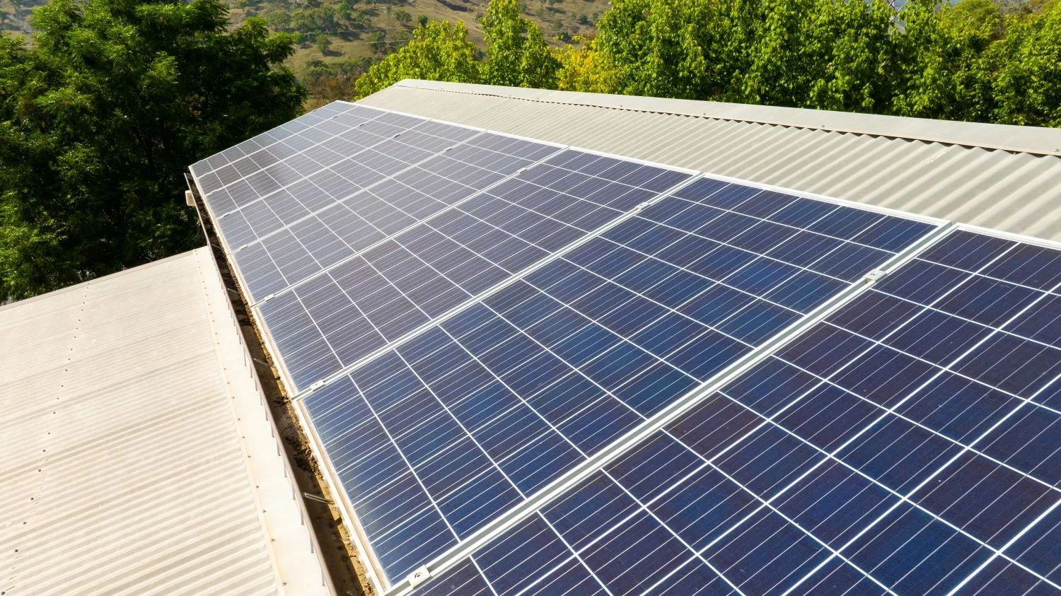 Additional image 30 of 4099 River Road, Jingellic NSW 2642