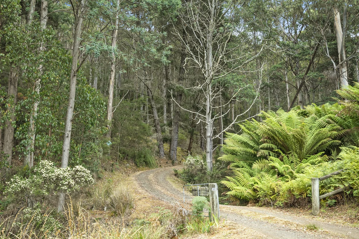 Additional image 33 of 303 Kregors Road, Gordon TAS 7150