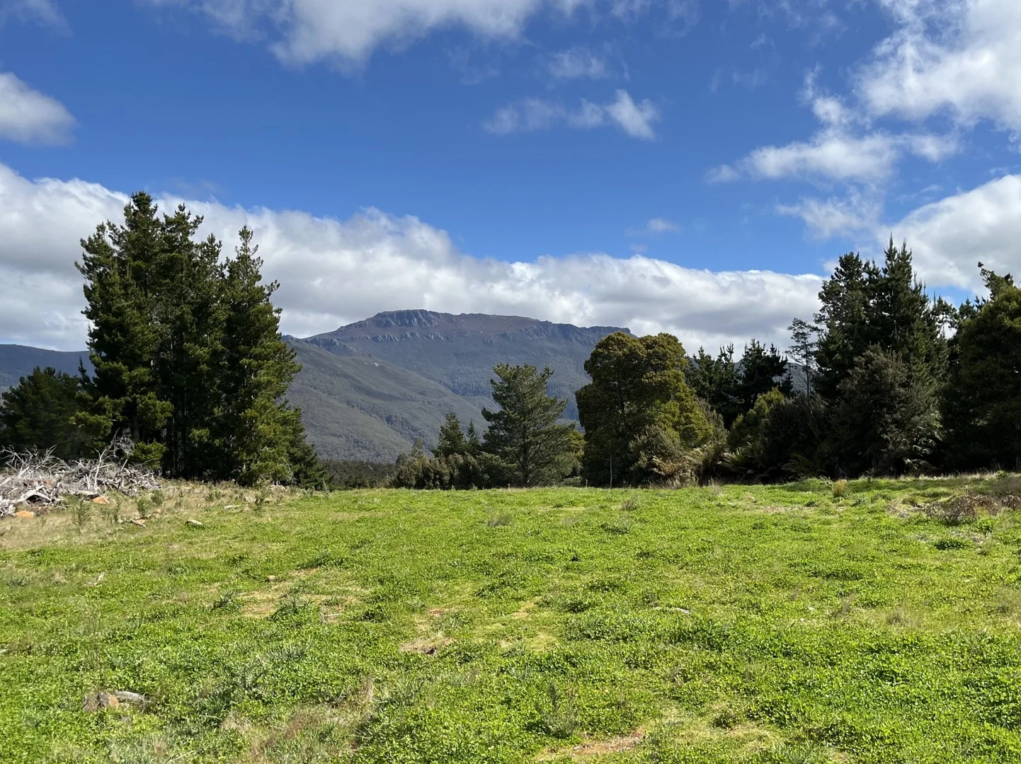 1390 Loongana Road, Loongana TAS 7315