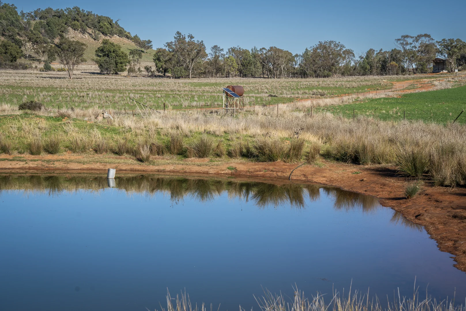 Additional image 19 of Ashford Heath 47 Adios Lane, Bogan Gate NSW 2876