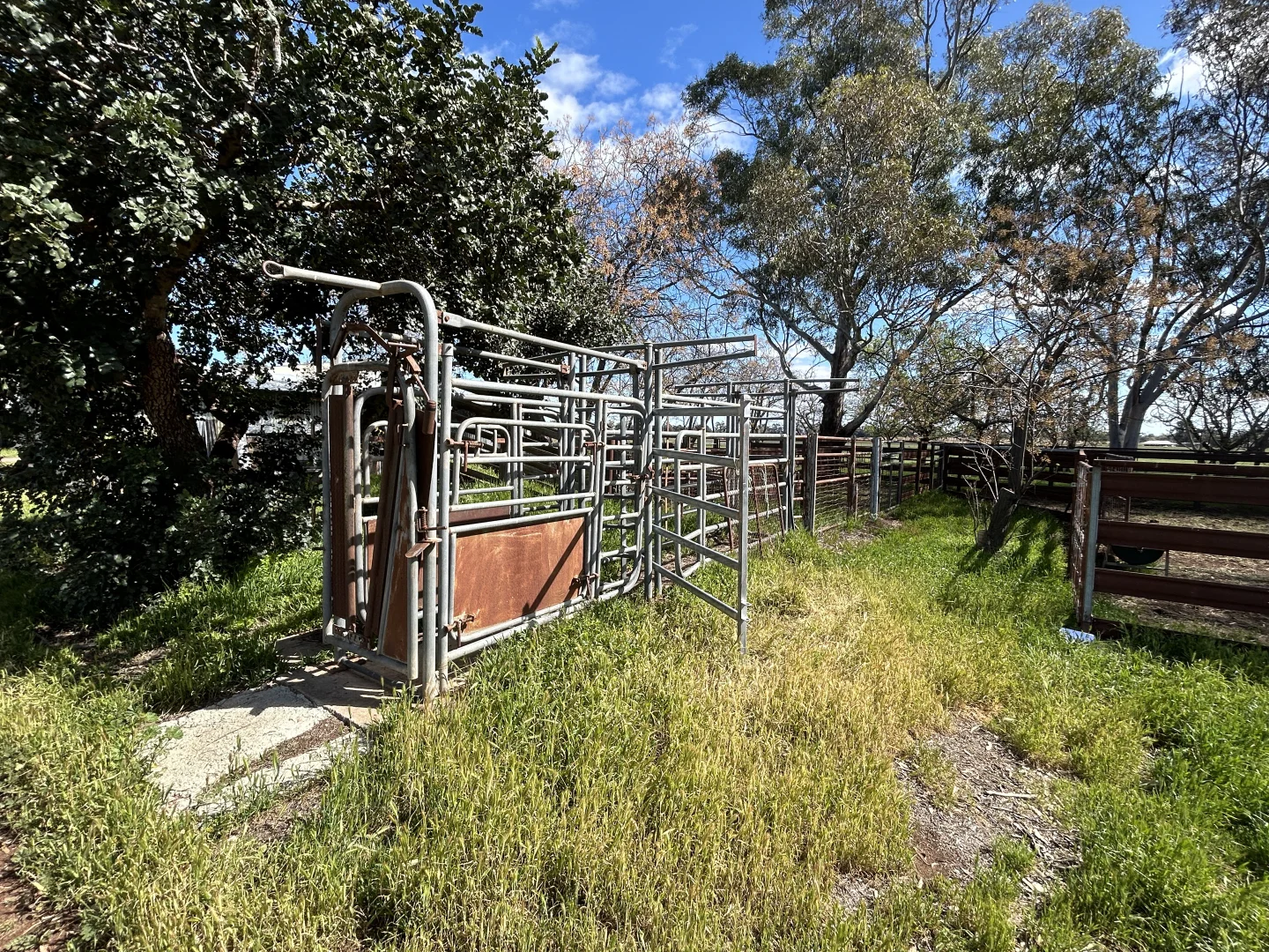 Additional image 14 of 119 Regulator Road, Yanco NSW 2703