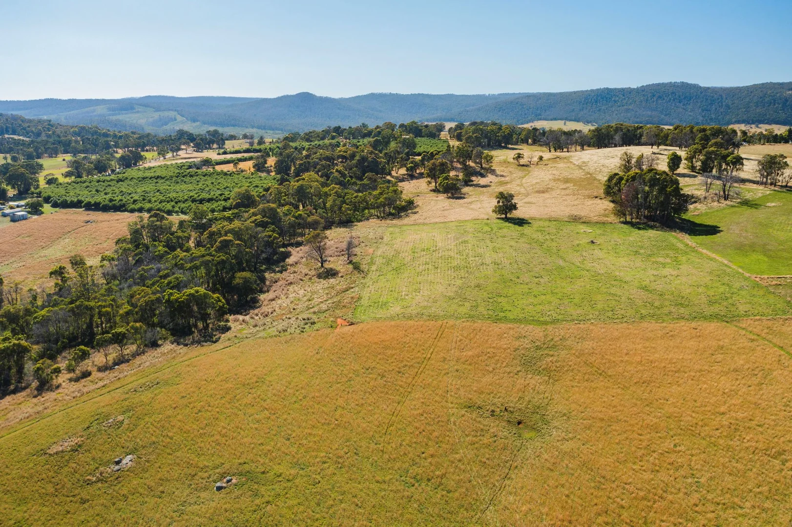 Additional image 3 of 1 Willigobung Road, Tumbarumba NSW 2653