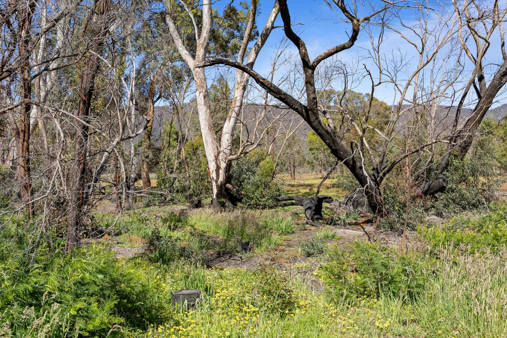 Additional image 16 of Lot 2 Waterhole Road, Pomonal VIC 3381