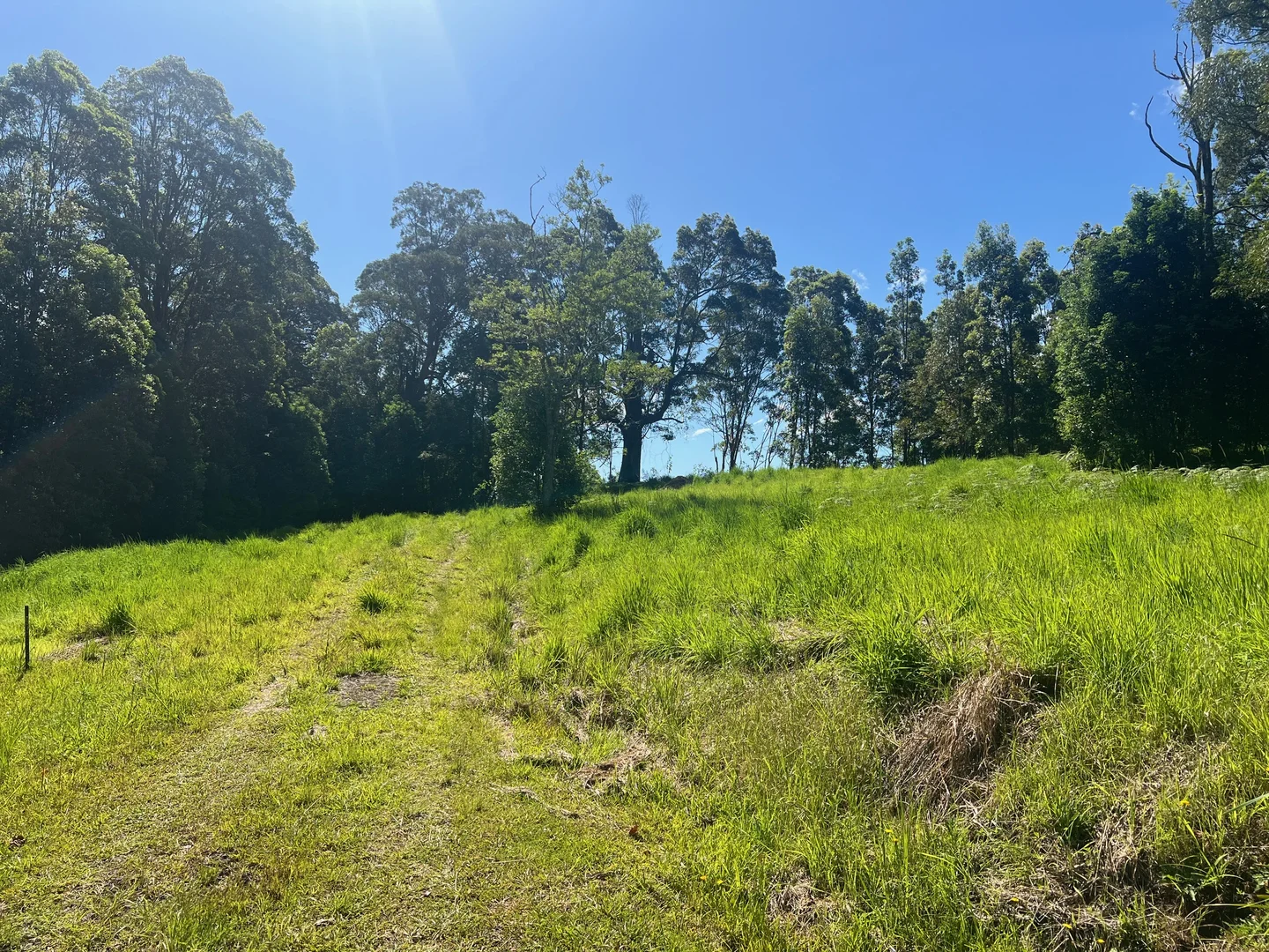 Additional image 4 of Lot 8, 345 Tuntable Falls Road, Nimbin NSW 2480