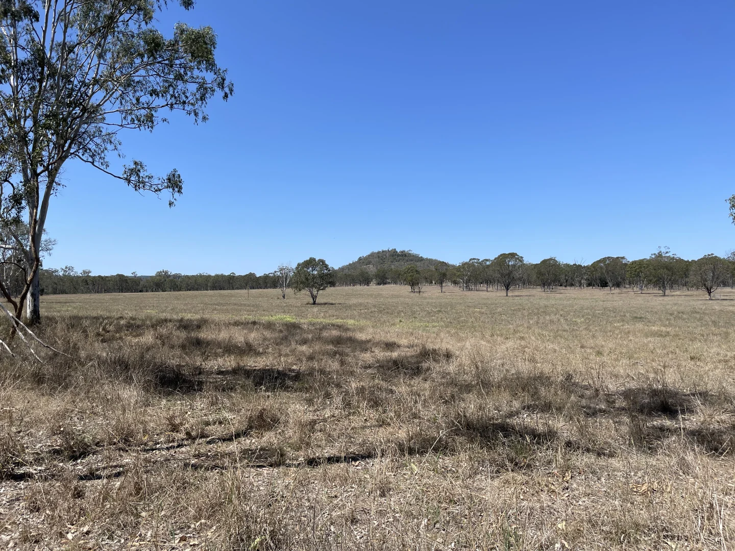 Additional image 8 of Monto QLD 4630