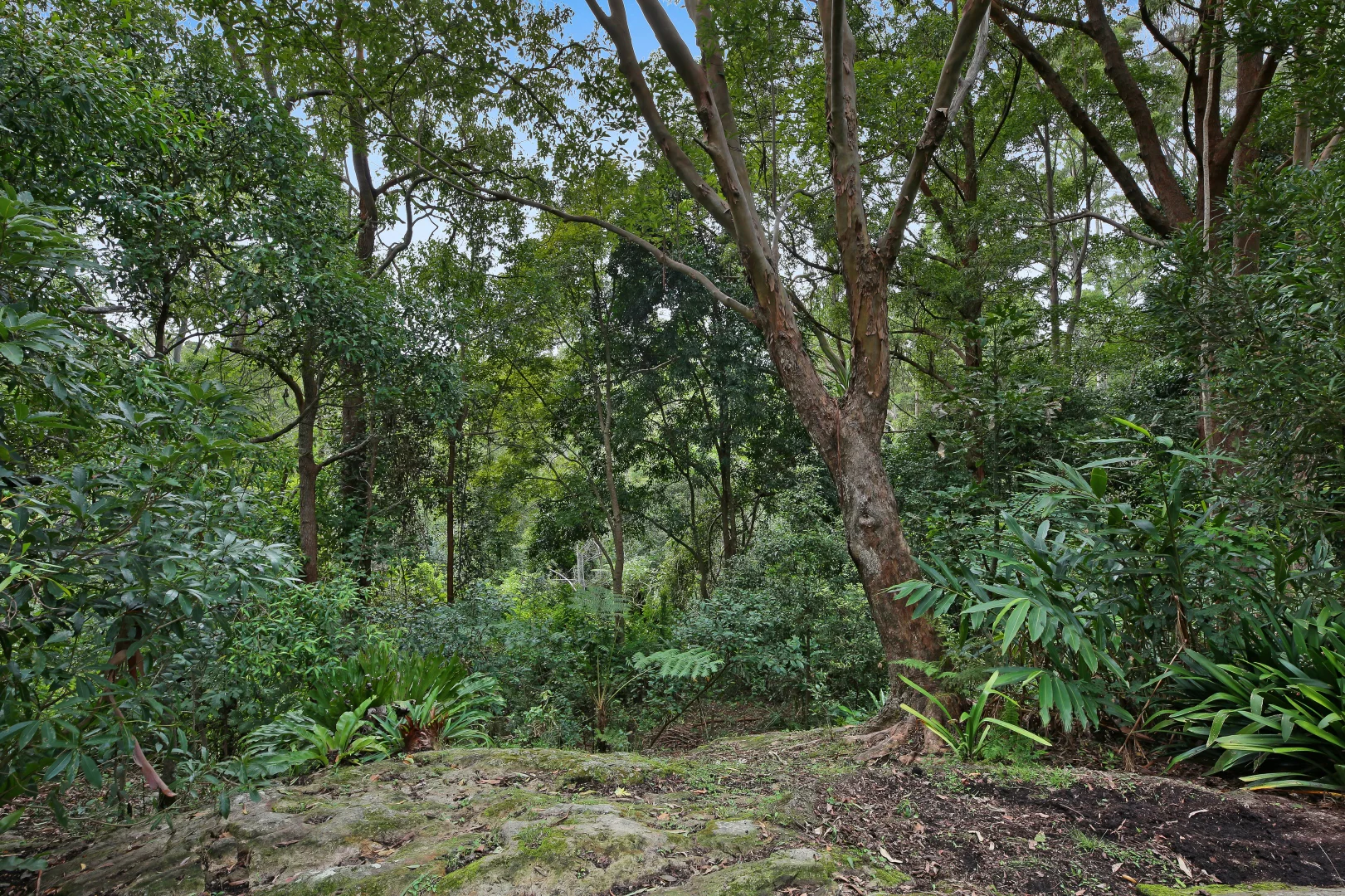 Additional image 24 of 69-73 Timbarra Drive, Beechmont QLD 4211