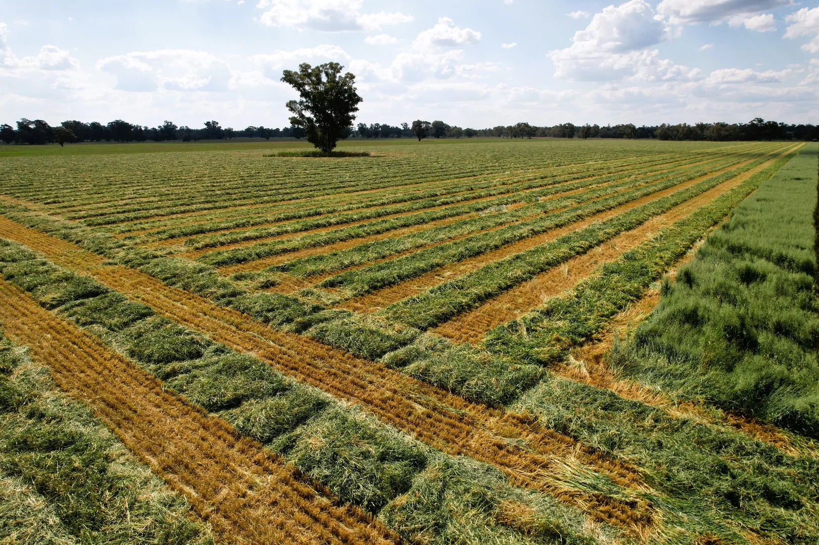 Additional image 14 of 1715 The Bogan Way, Forbes NSW 2871