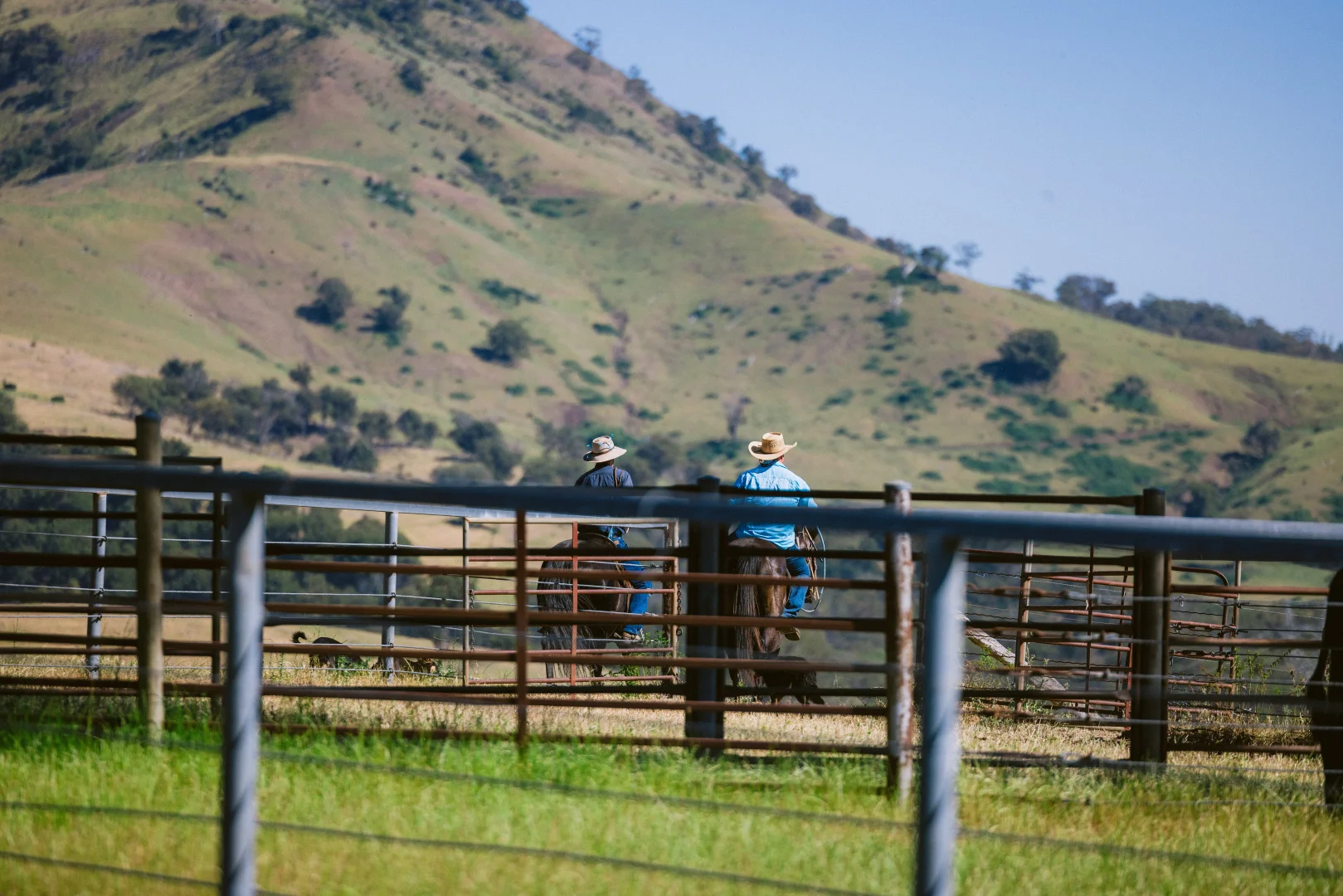 Additional image 29 of 7390 New England Hwy, Willow Tree NSW 2339