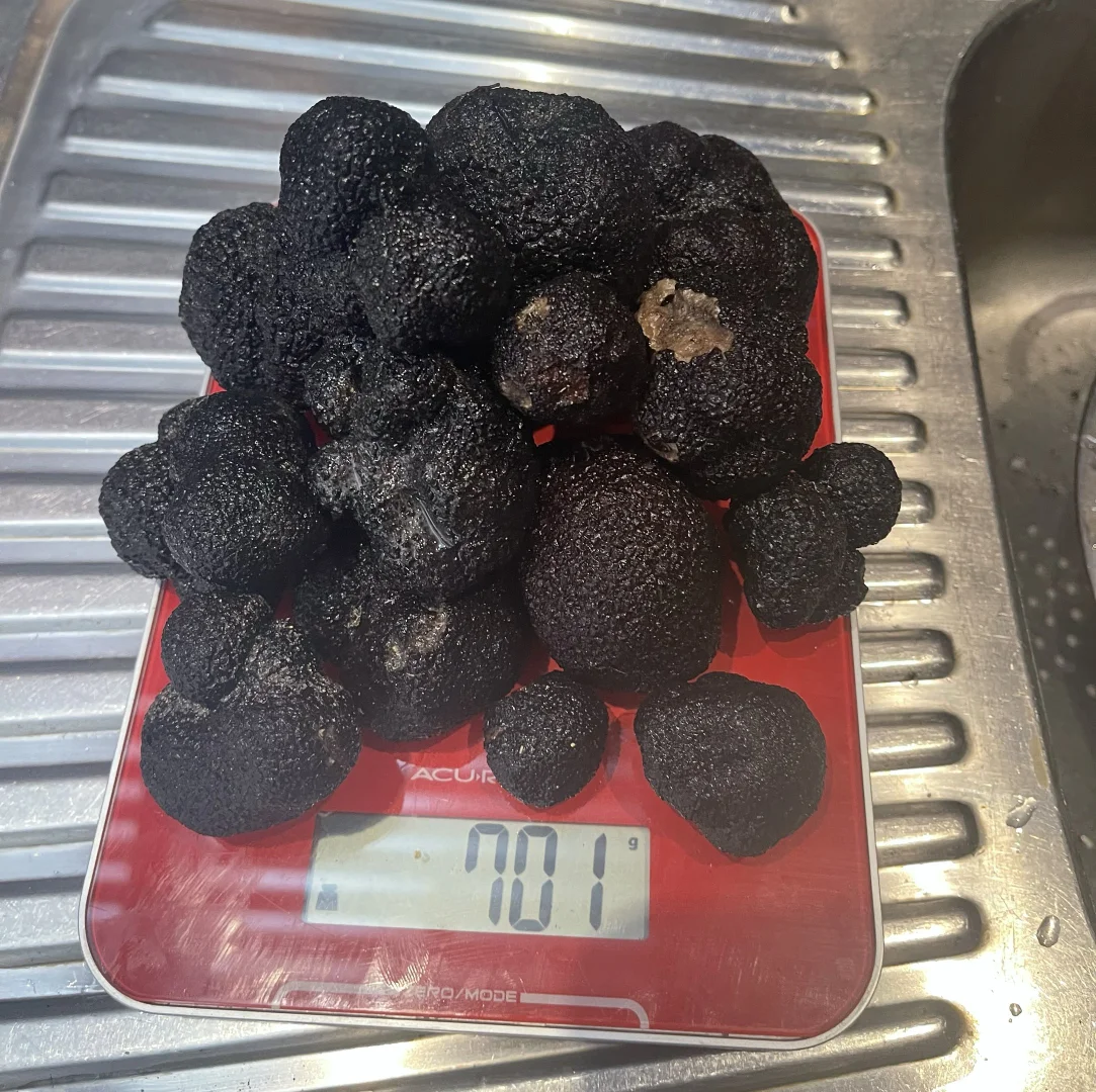 Additional image 25 of 3 Wedgetail Cove, Walpole WA 6398