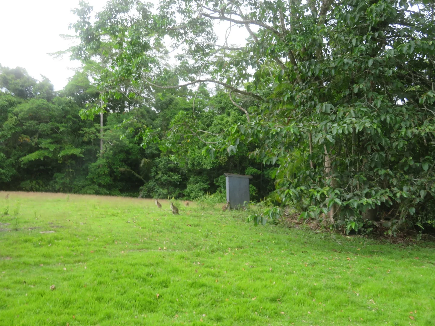 Additional image 21 of 364 Coquette Point Road, Coquette Point QLD 4860